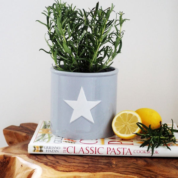 Ceramic Pot Plant grey with white star