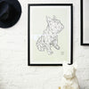 French Bulldog Framed Print - White on Green