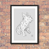 French Bulldog Framed Print - White on Grey