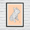 French Bulldog Framed Print - White on Peach