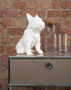 French Bulldog Geometric Sculpture - Frank in White